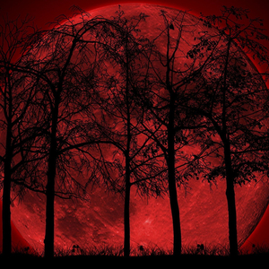 Redbone (Guitar Version)