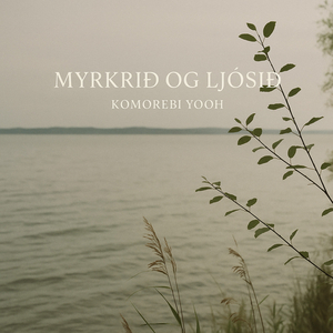 Myrkrið Og Ljósið