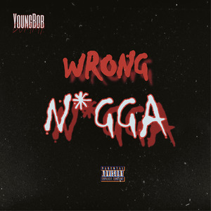 Wrong Nigga