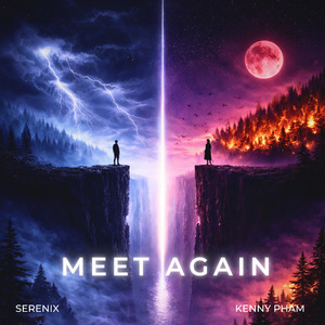 Meet Again