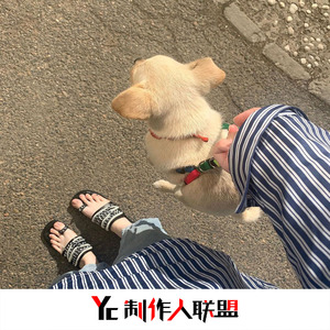 Вечера(纯音伴奏)