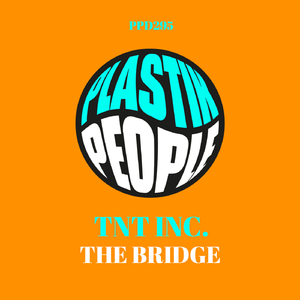 The Bridge (Fabio Tosti Mix)