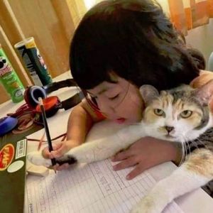 ''秘密基地''pluggnb*plugg type beat