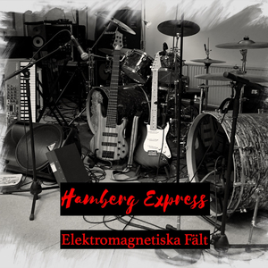 Elektromagnetiska Fält
