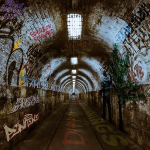 Defective Adolescence