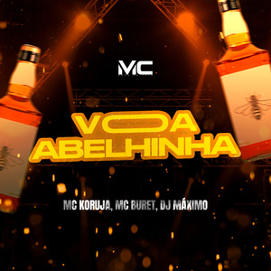 Mega Funk Voa Abelinha