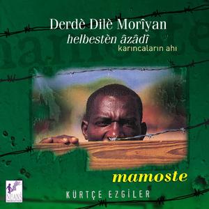 Budur Halimiz (Eve Haleme)