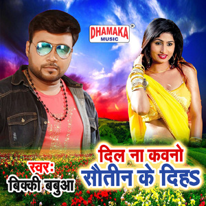 Dil Na Kawano Sautin Ke Diha