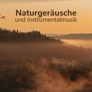 Gute Laune (Vogellied)