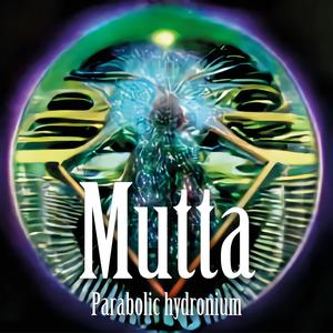 A Three Legged Camel