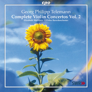 Violin Concerto in A Minor, TWV 51:a2: I. Allegro