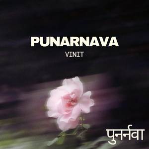 Punarnava