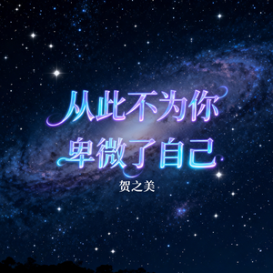 从此不为你卑微了自己