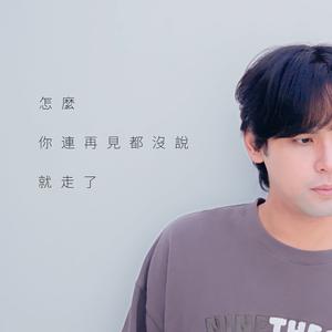 怎麼你連再見都沒說就走了