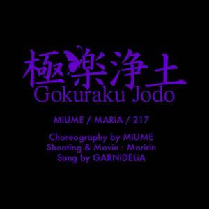 極楽浄土 / 极乐净土 - Violin（Cover GARNiDELiA）