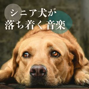 ゆっくり流れる時