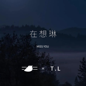 在想琳