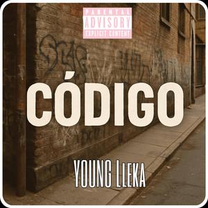 Codigo