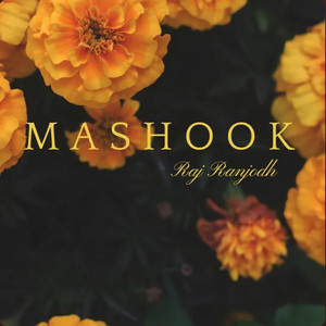Mashook