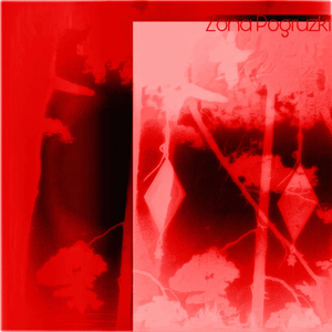 ЧРЕВОУГОДИЕ (reverb)