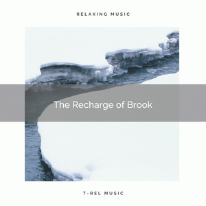 Relaxing Tunes of Nature with Shimmering Stream