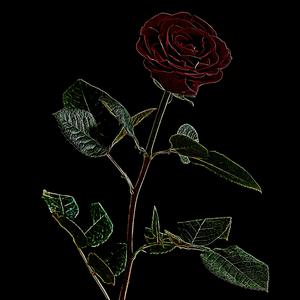 5 Mins Away (feat. Nykol Noir)