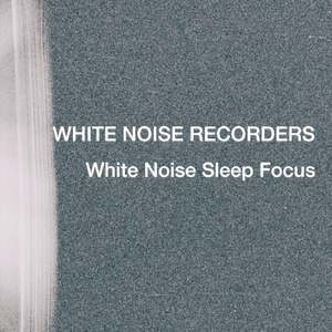 White Noise Fan in Food Market