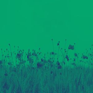 微妙的宁静心情