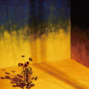 在爱情的尽头看见了你和我