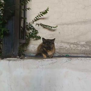 角落