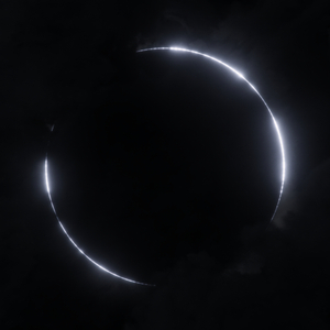 Moth To A Flame (Live from Copenhagen)