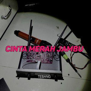 Cinta Merah Jambu