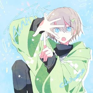 TAMAYA（翻自 v flower）