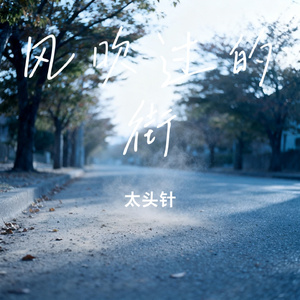风吹过的街
