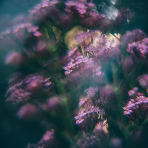 Forevermore