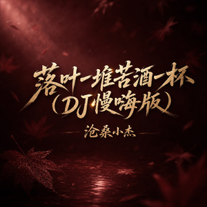落叶一堆苦酒一杯(DJ慢嗨版)