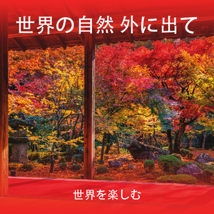 あなたの心を空にする