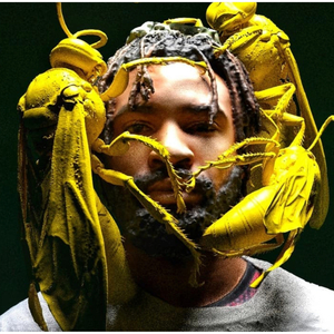 Shake It on a Handstand