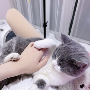 六月 伴奏