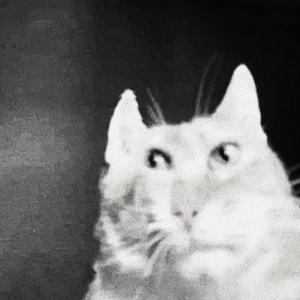 O (feat. Nicholazsyx)