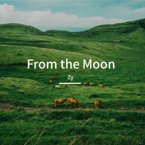 From the Moon