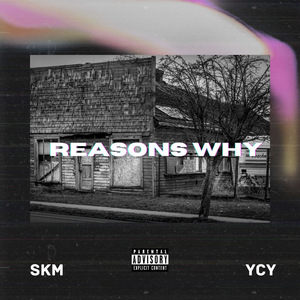 Reasons Why