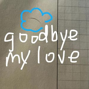 Goodbye My Love
