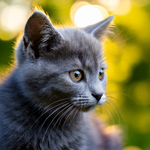 迷いの先にあるもの