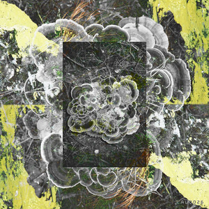 Layer Ny (Camulet Remix)