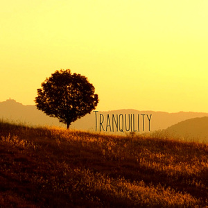 Quiet: Relaxing Music