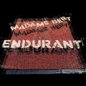Dernier Éléphant