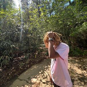 What's the plan (feat. Kaisani) (Remix)