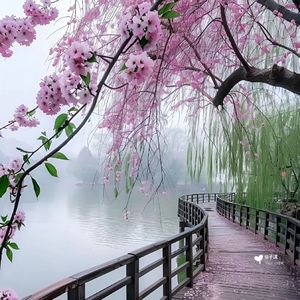 摇滚风