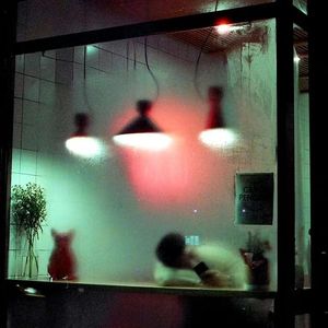 '暗室独白'Daniel Caesar X Janet Jackson Chill Beat